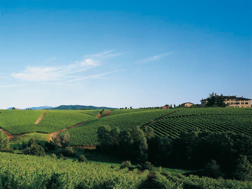 Agriturismo Tenuta La Marchesa Novi Ligure Exteriör bild